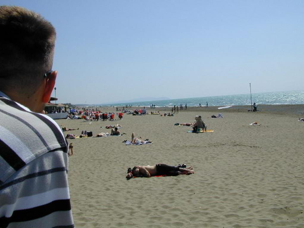 Back