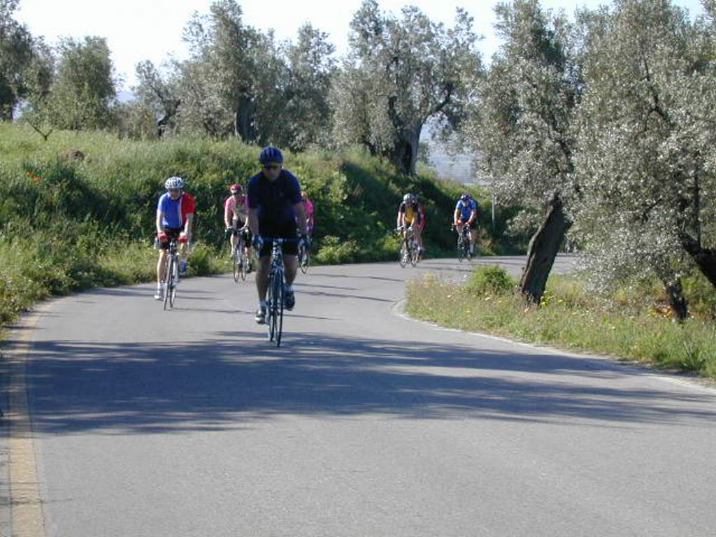 Back