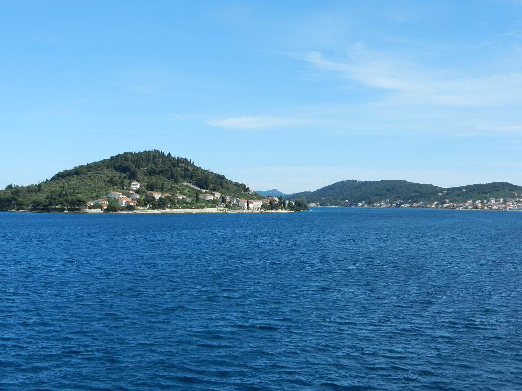 Back