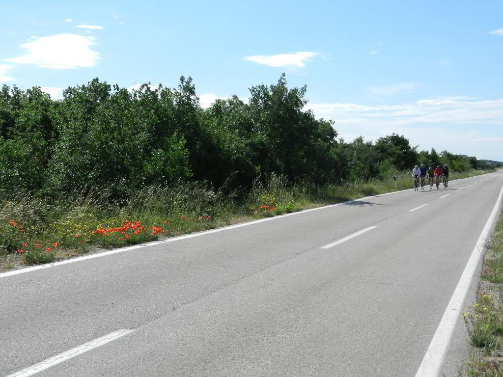Back