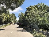 Klicken Sie auf das Bild, um es zu vergr&ouml;&szlig;ern
