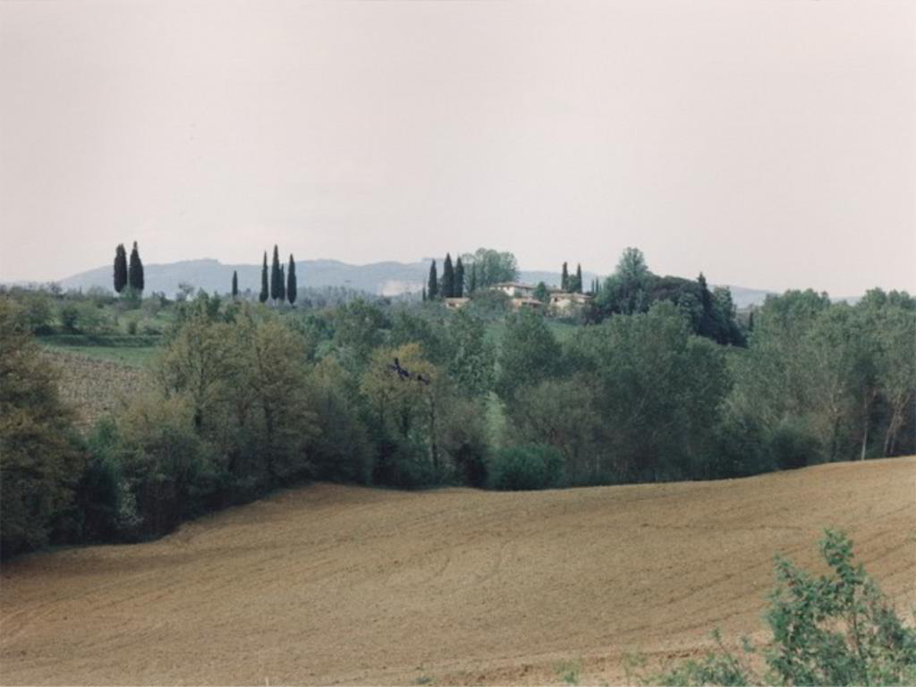 Back