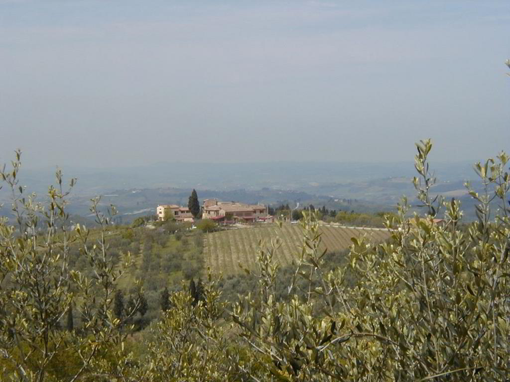 Back