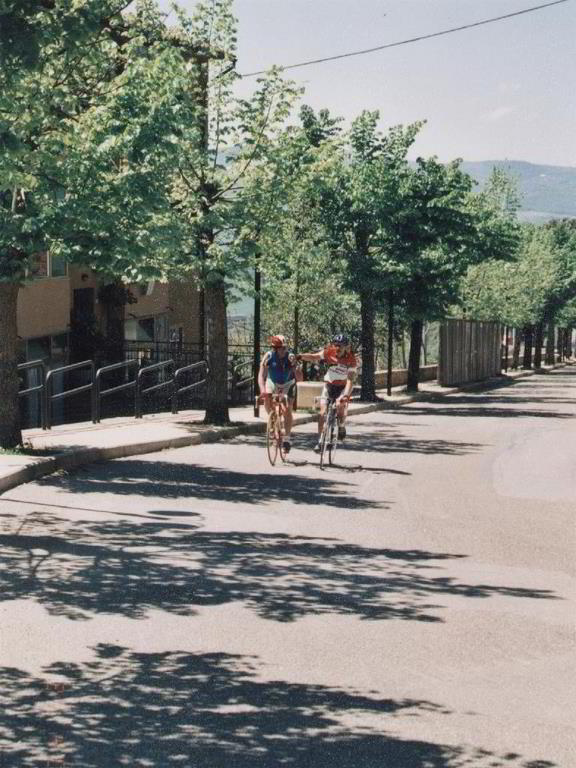 Back