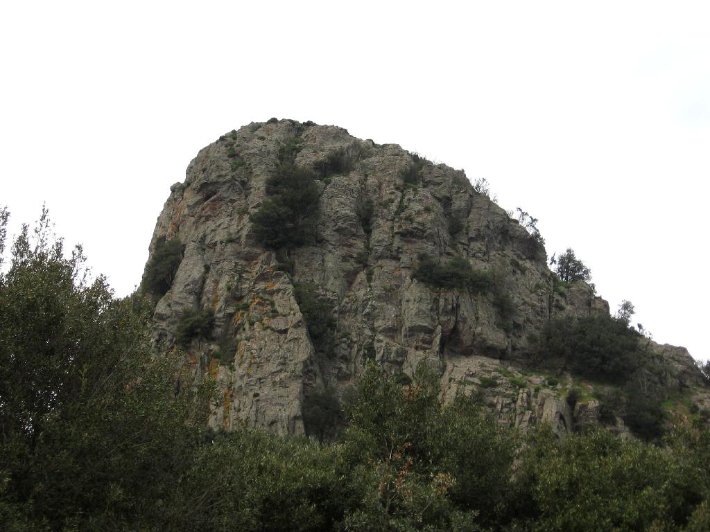 Back