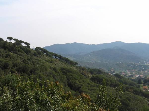 Original image