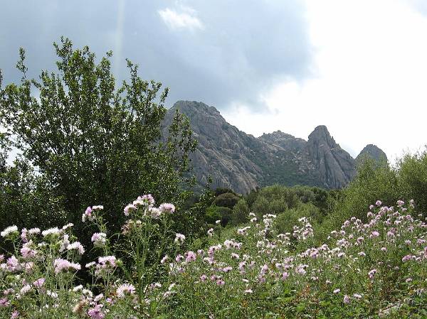 Original image