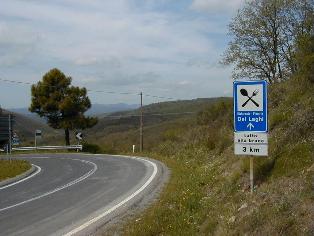 Back