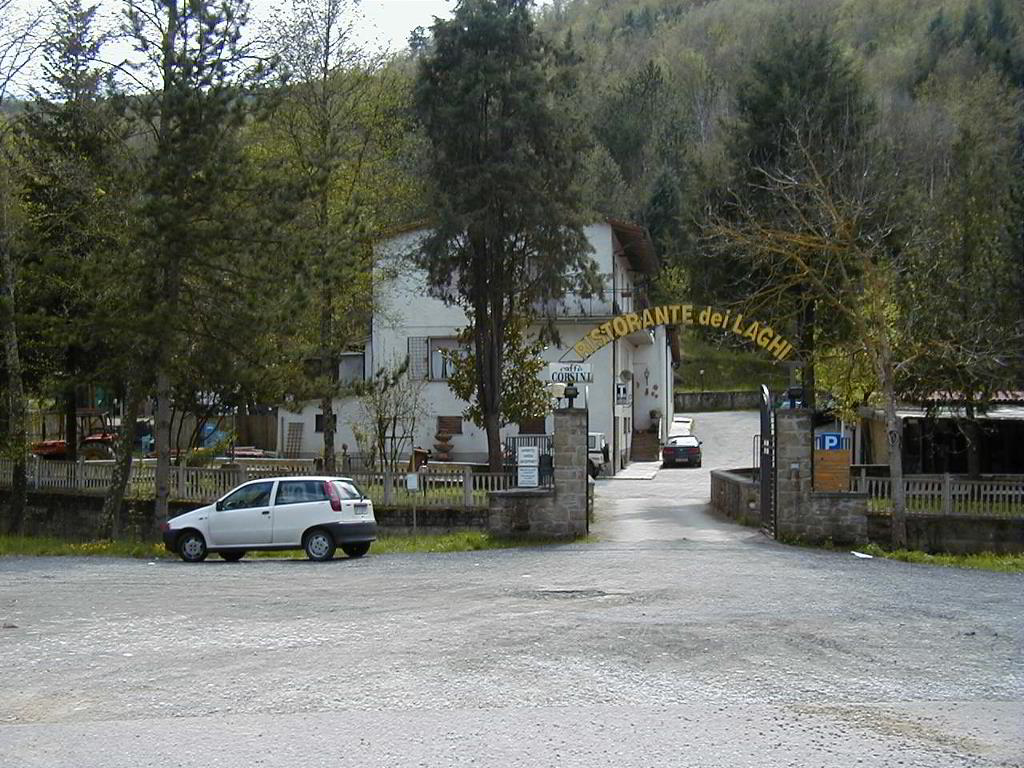 Back