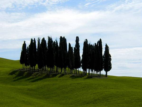 Original image