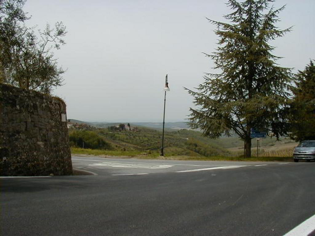 Back