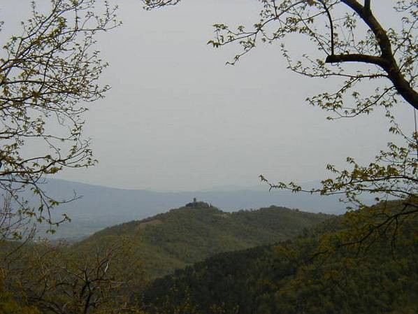 Original image