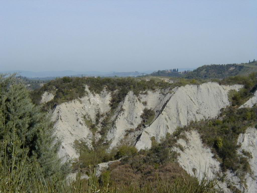 Back