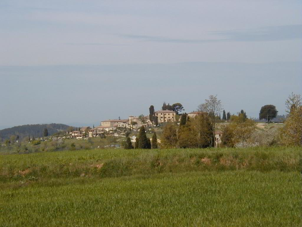 Back