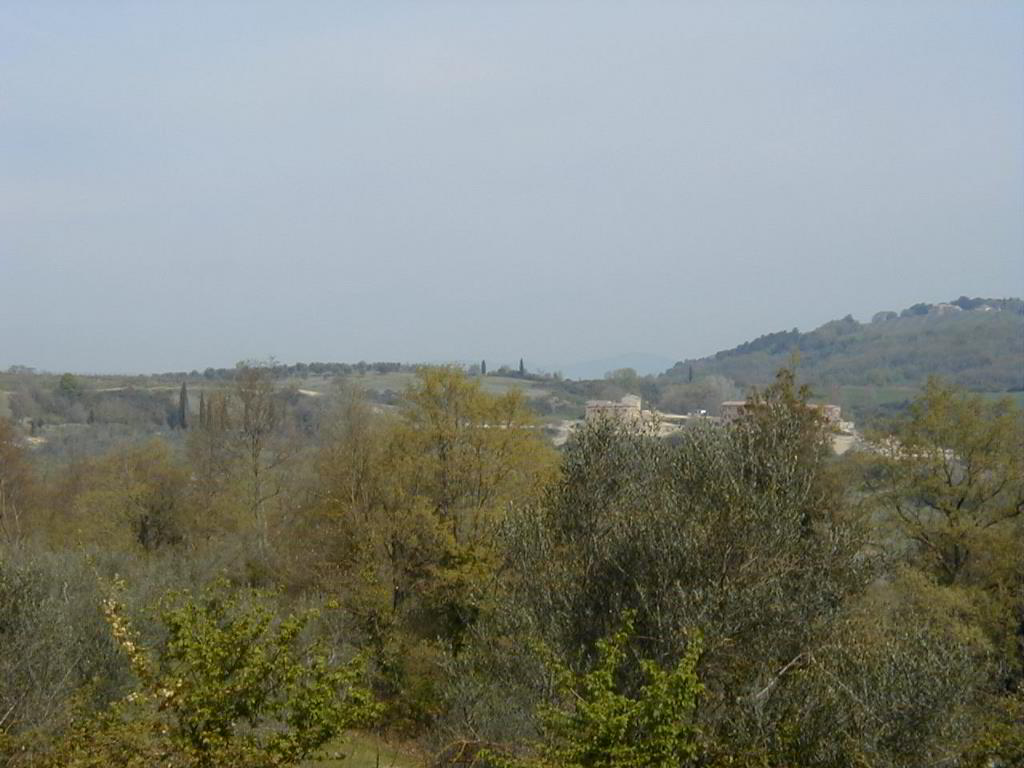 Back