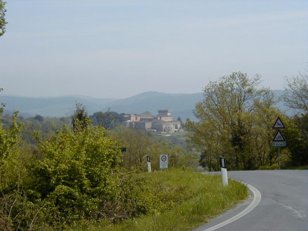 Back
