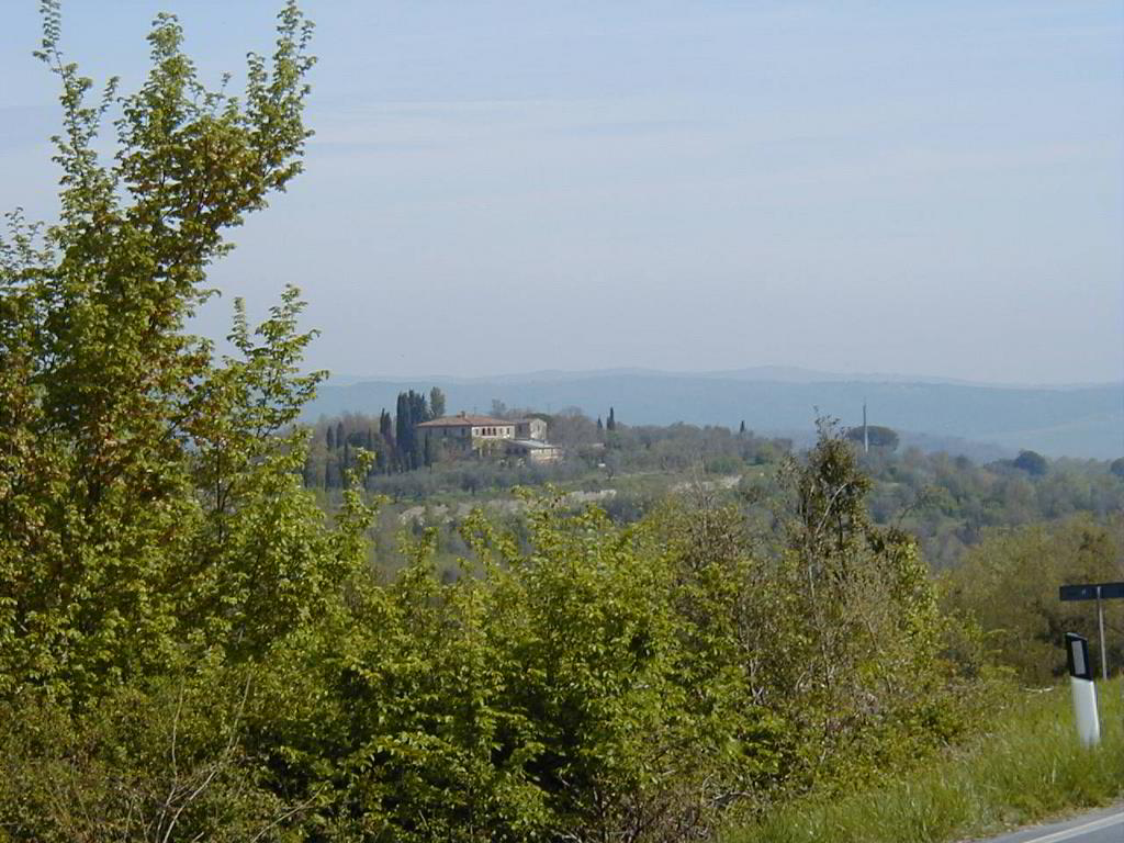 Back