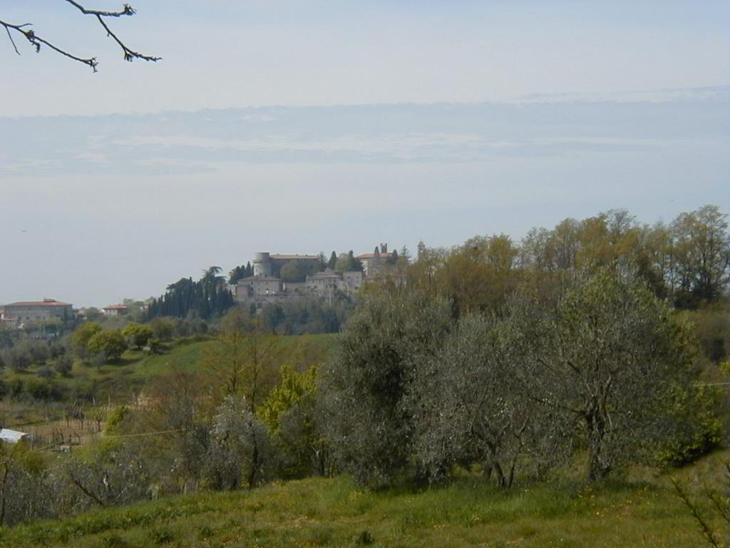 Back