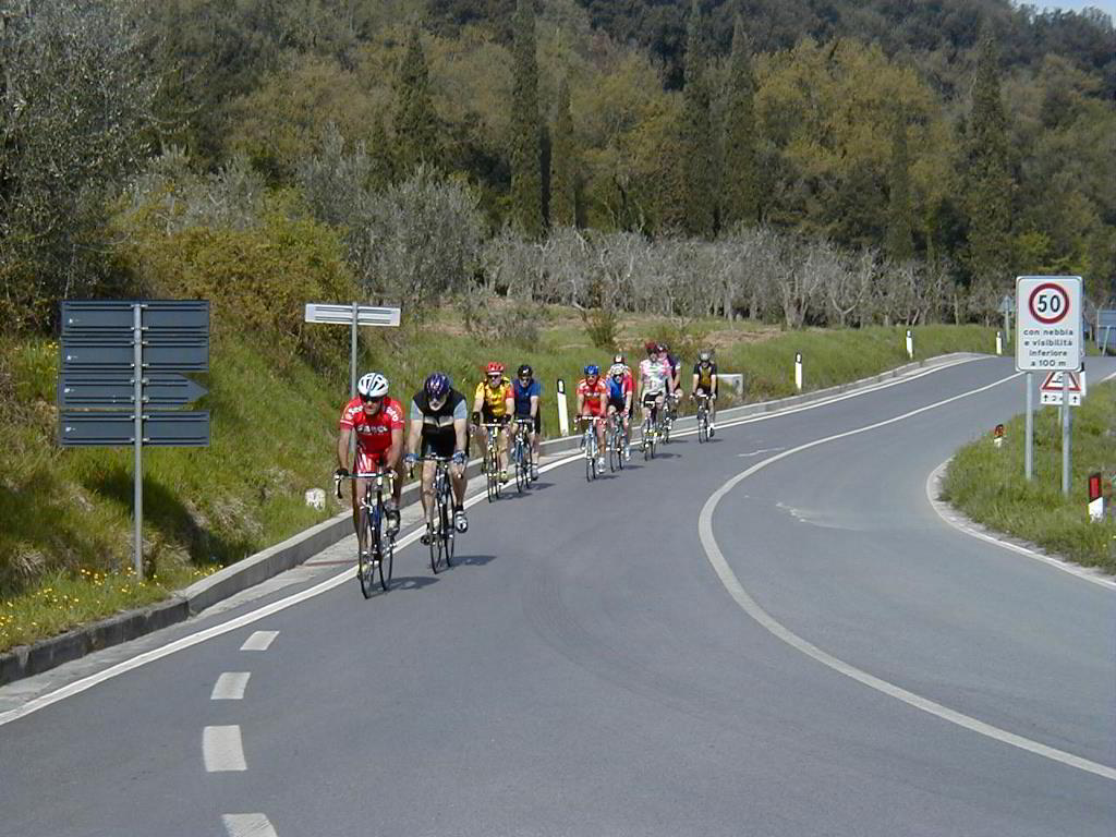 Back