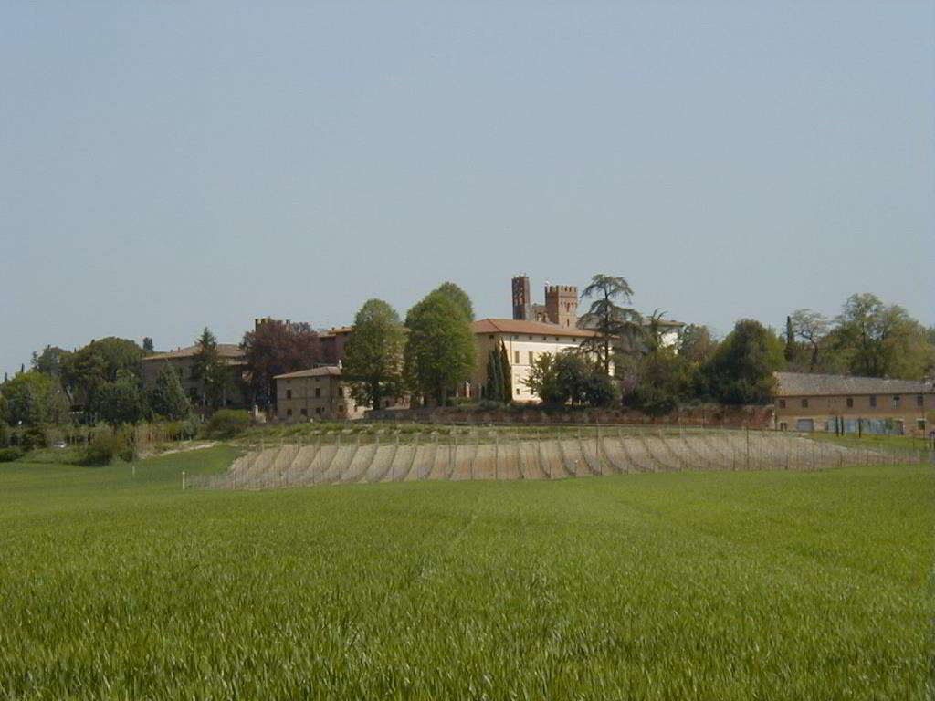Back