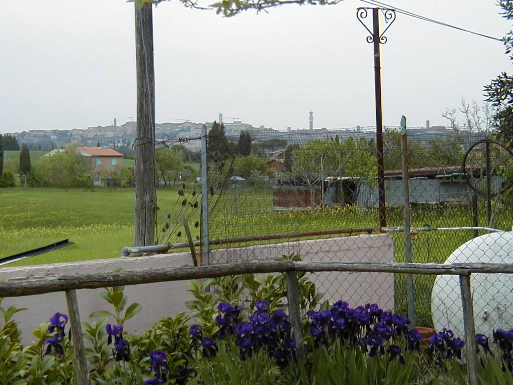 Back