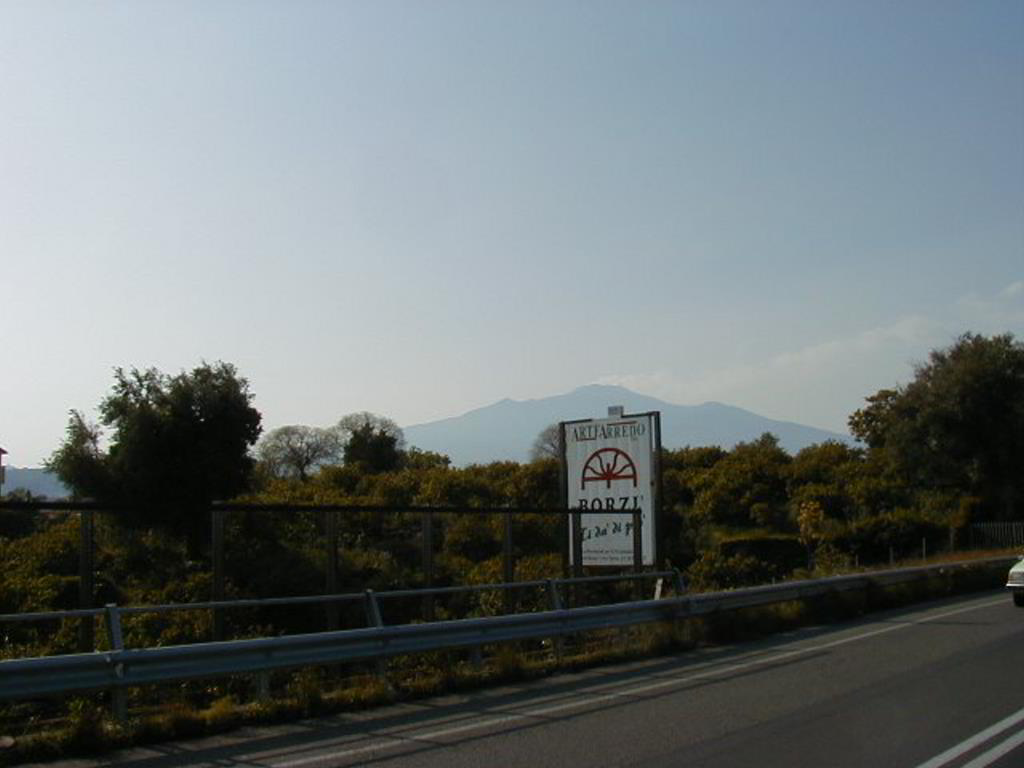 Back