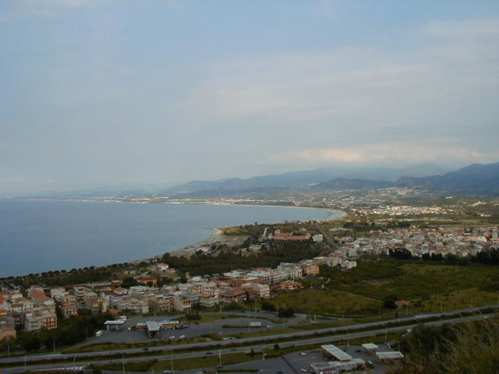 Back