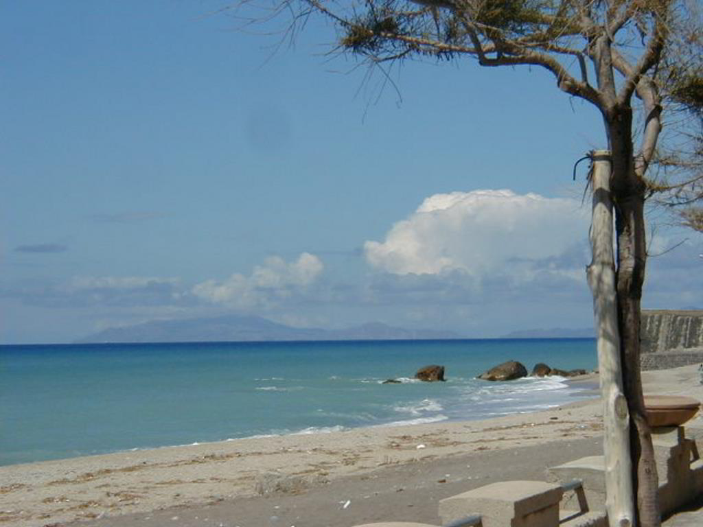Back