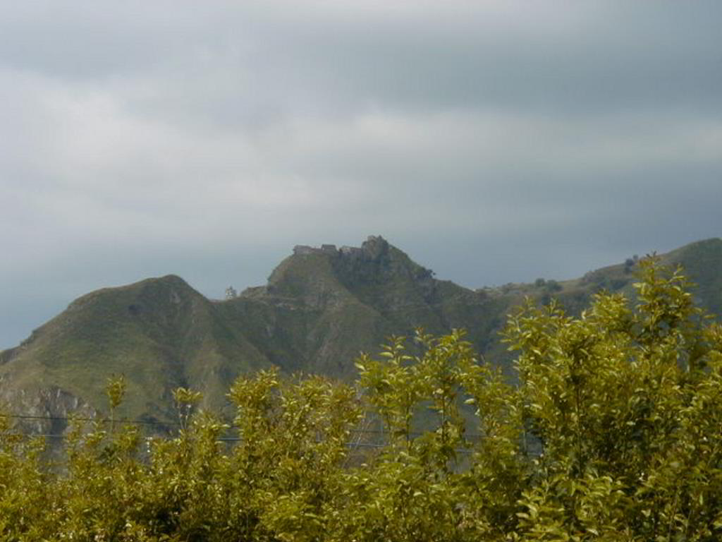 Back