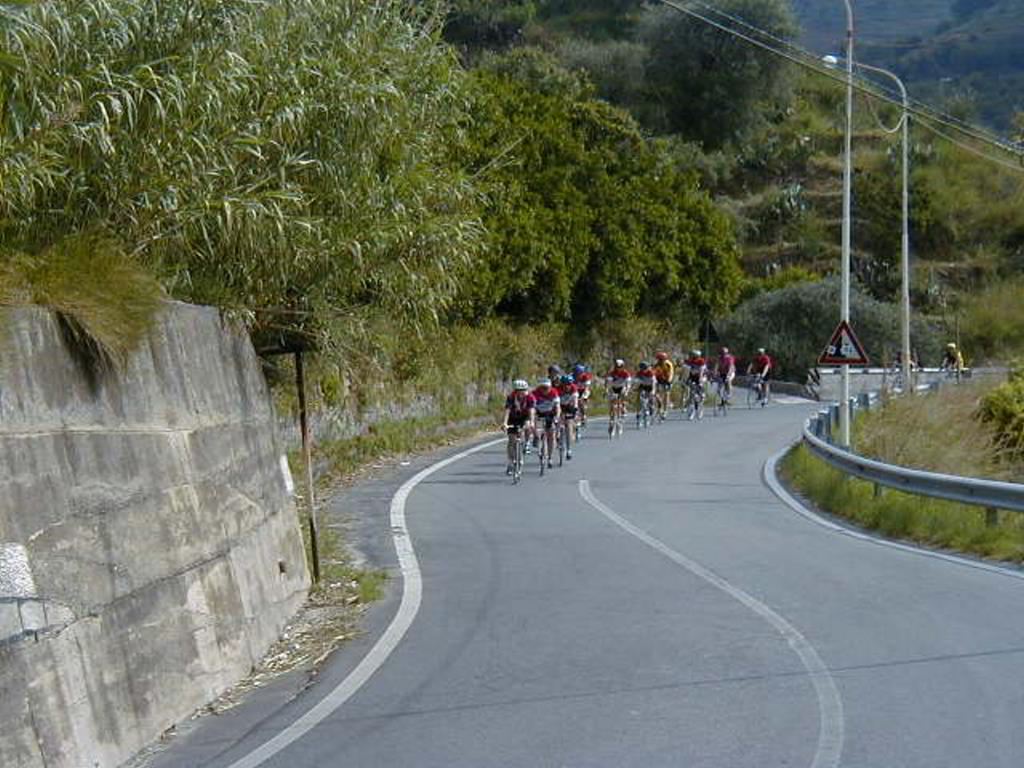 Back