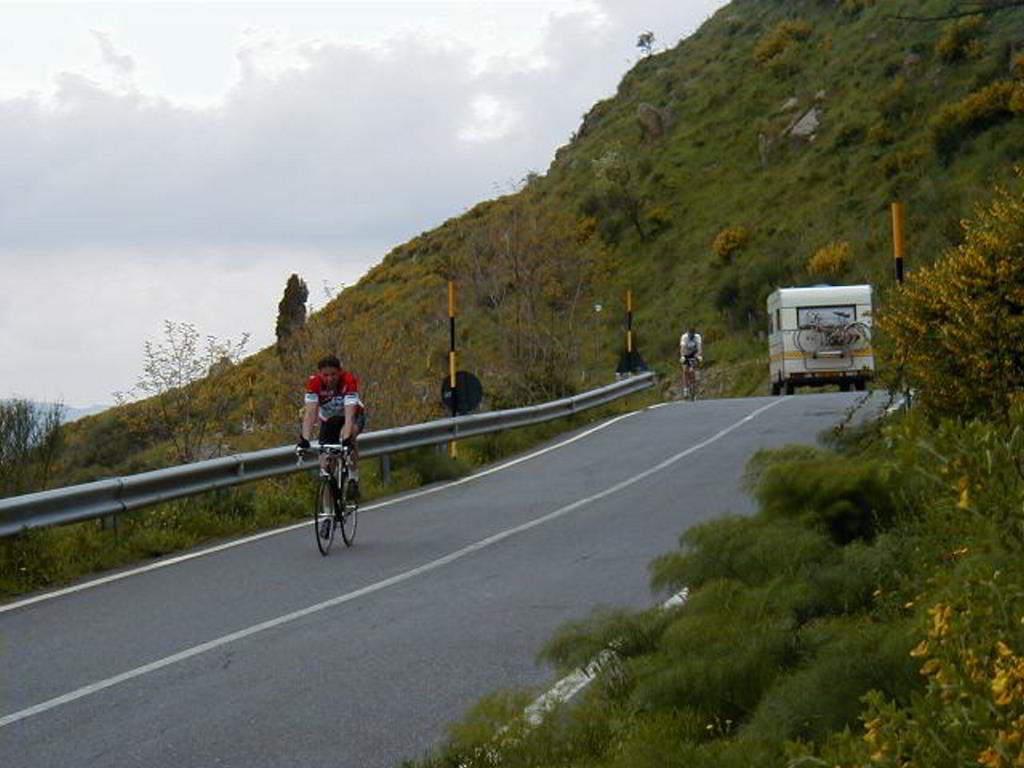 Back
