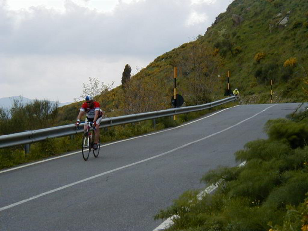 Back