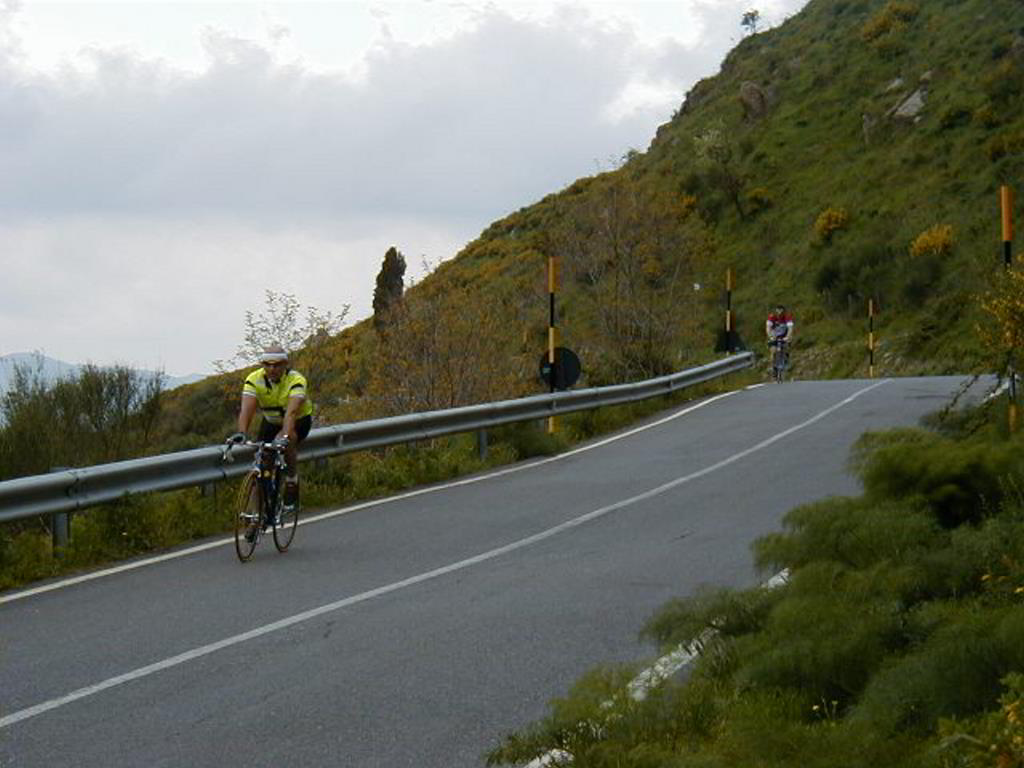 Back