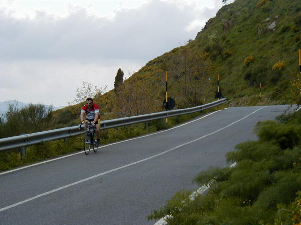 Back