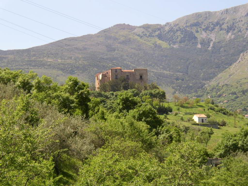 Back