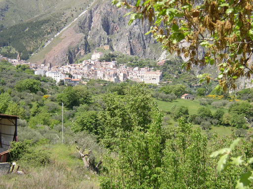 Back