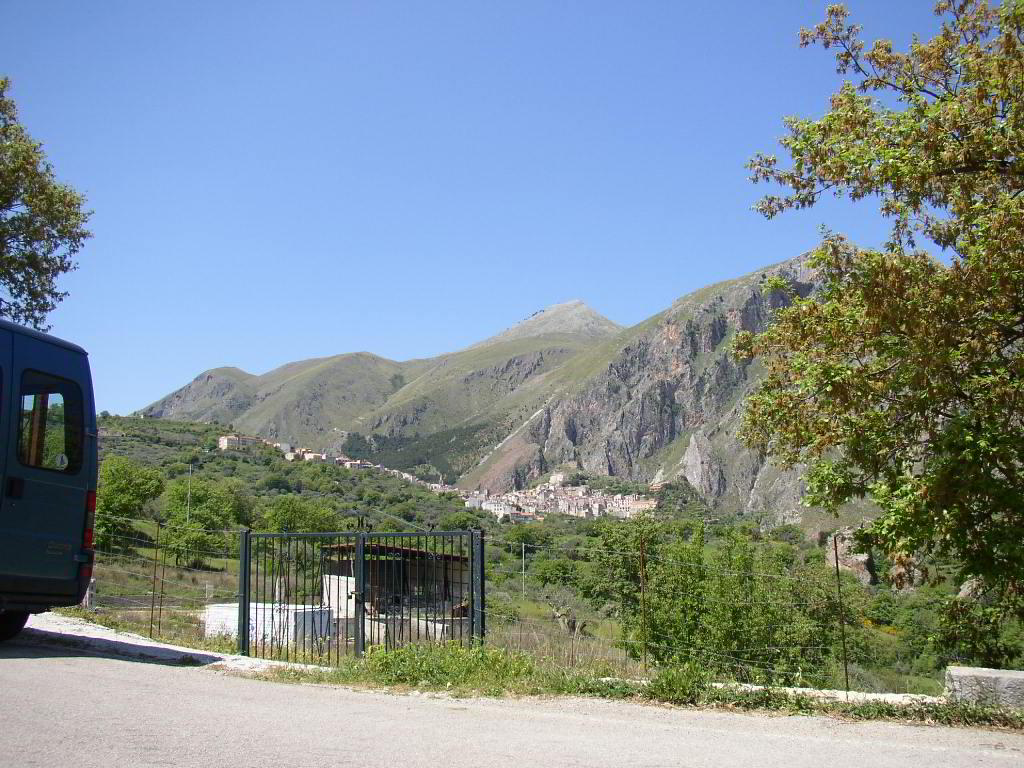 Back