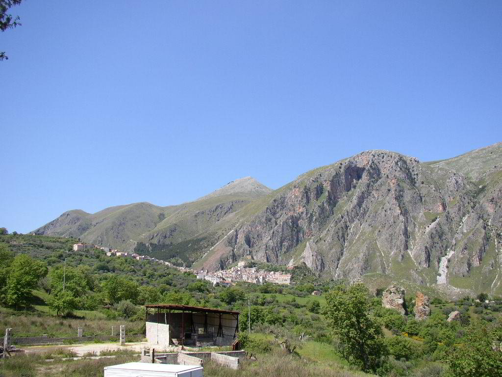 Back