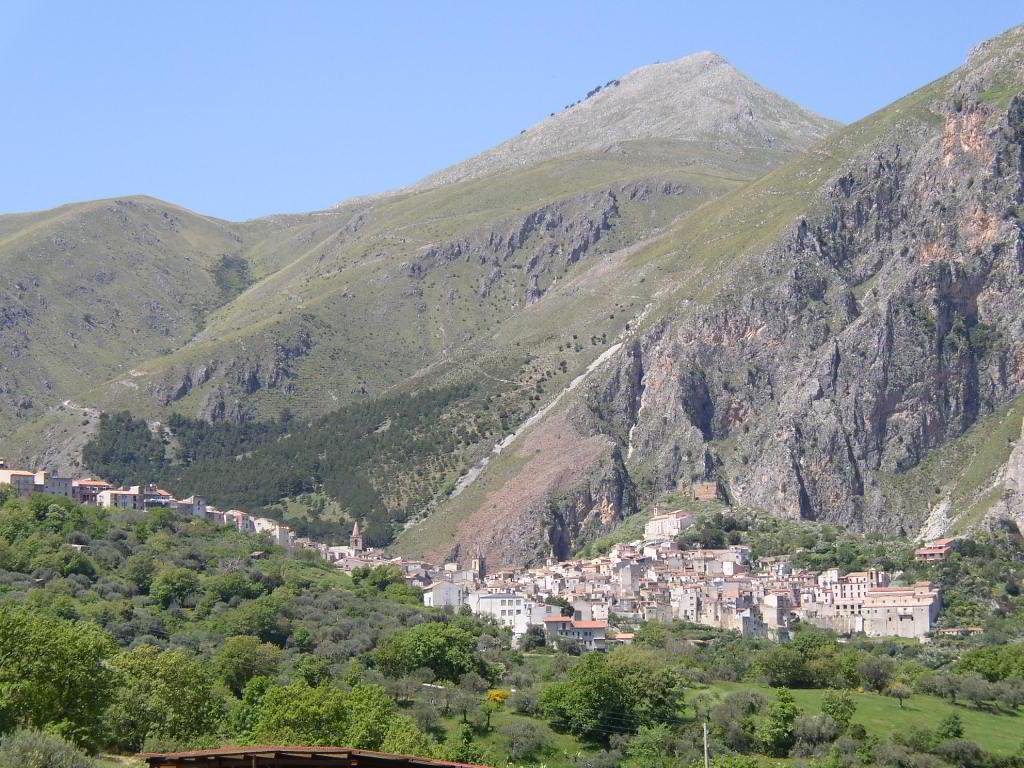 Back