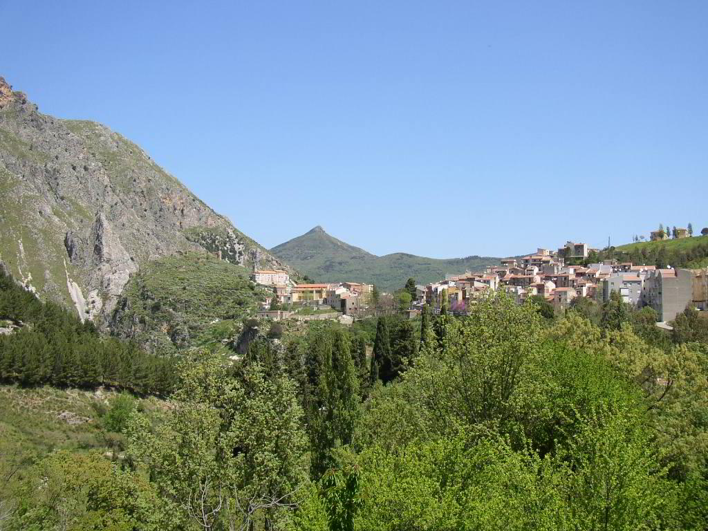 Back