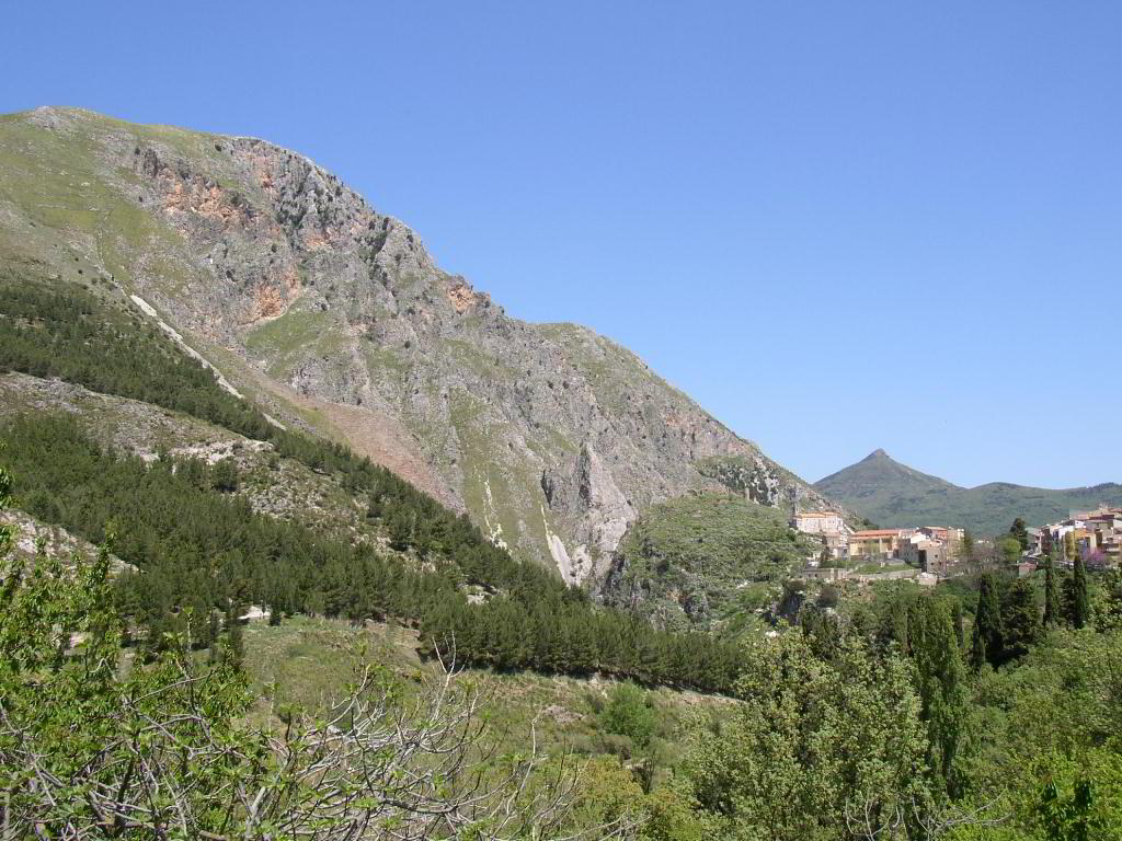 Back