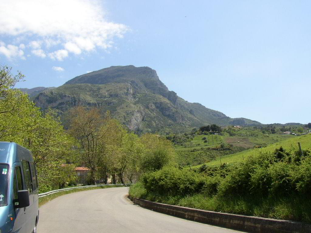 Back