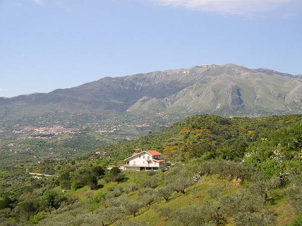Original image