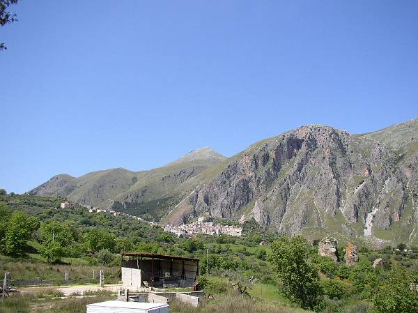 Original image