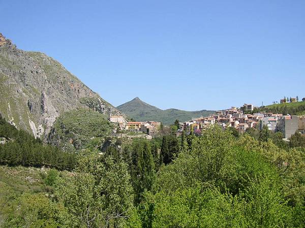 Original image