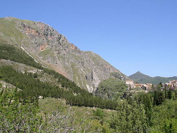 Original image