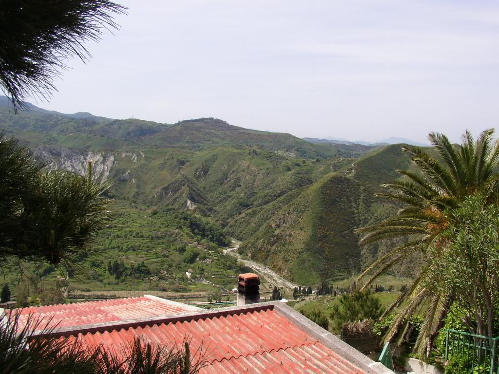 Back