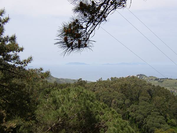 Original image