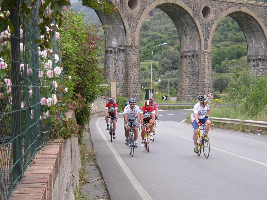 Back