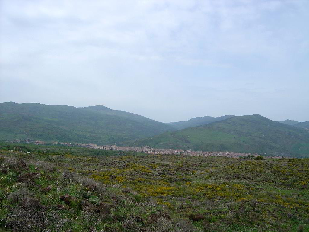Back